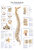 Anatomische Lehrtafel Die Wirbelsäule Erlerzimmer 70 x 100 cm Kunststoff-Folie, mit Beleistung (1 Stück), Detailansicht