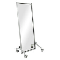 Spiegel Exklusiv, Standspiegel, Spiegel Fitness 145x52 cm fahrbar