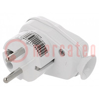Connector: AC supply; male; plug; 2P+PE; 250VAC; 16A; Type: round