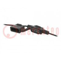 Fuse holder; 19mm; 20A; on cable; Leads: lead x2; UL94V-0; IP67; 32V