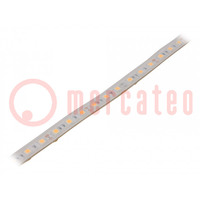 LED strips; warm wit; 5050; 12V; LED/m: 60; 10mm; witte PCB; IP65