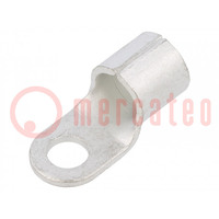 Tip: ring; M12; 120mm2; crimped; for cable; straight; non-insulated