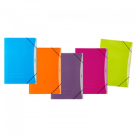 Pagna 21616-00 fichier Carton Multicolore A4