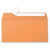 Clairefontaine 5495C Briefumschlag DL (110 x 220 mm) Orange