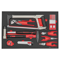 Teng Tools TTEPS25 module de classement de bureau