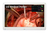 LG 27HQ710S-W Computerbildschirm 68,6 cm (27") 3840 x 2160 Pixel 4K Ultra HD LED Weiß