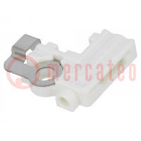 Connector: LED holder; push-in; Features: two-piece