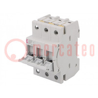 Fuse disconnector; D01; for DIN rail mounting; 6A; 400VAC
