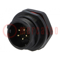 Socket; SP13; male; PIN: 5; IP68; 5A; soldering; for panel mounting