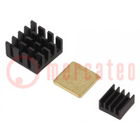 Heatsink; aluminium,black; Arduino,Raspberry Pi; 3pcs.