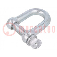 Dee shackle; steel; for rope; zinc; 22mm