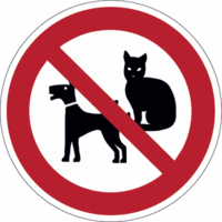 Schild - Mitführen von Hunde und Katzen verboten, Rot/Schwarz, 25 x 25 cm