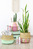 permanent spray SOM-Image painted plant holders with products
