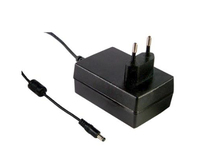 MEAN WELL GSM25E24-P1J adaptateur de puissance & onduleur Intérieure 25 W Noir