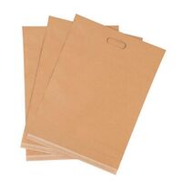 Peel and seal paper mailing bags W x L: 240 x 340mm