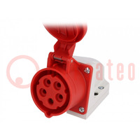 Connector: AC supply 3-phase; socket; female; 16A; 400VAC; IP44