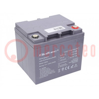 Re-battery: acid-lead; 12V; 45Ah; AGM; maintenance-free