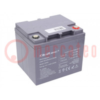 Batteria ric: acido-piombo; 12V; 45Ah; AGM; senza manutenzione