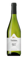 Vino Blanco Tierra Bianco Vivace