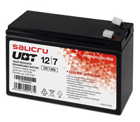 Salicru 013BS000001 batteria UPS Acido piombo (VRLA) 12 V 7 Ah
