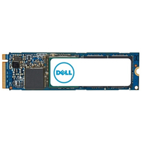 DELL AC676115 internal solid state drive M.2 1 TB PCI Express 4.0 NVMe
