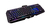 iogear HVER PRO X RGB keyboard USB Black