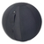 ALBA Ballon Ergo ball Noir,diam 65 cm.En polychlorure de vinyle. Poign�e de transport.Fonction de Tumbler