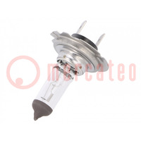 Filament lamp: automotive; PY25D-1; transparent; 12V; 65W