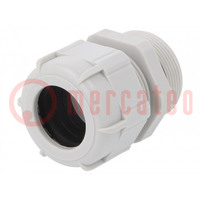 Cable gland; with long thread; PG29; IP68; polyamide; grey