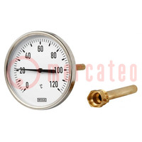 Misuratore: temperatura; analogico,bimetallico; -10÷50°C; A50