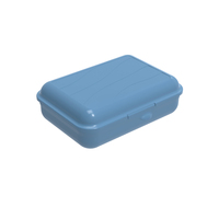 Rotho Funbox Brotdose 1,25 l Blau 1 Stück(e)