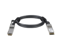 NETGEAR ACC761-10000S InfiniBand/fibre optic cable 1 m QSFP28 Zwart