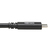 Tripp Lite U420-20N-G2-5A câble USB 0,5 m USB 3.2 Gen 2 (3.1 Gen 2) USB C Noir