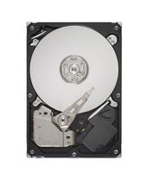 300GB 10K FC HARD DRIVE 1750 **Refurbished** Hard disk interni