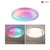 LED Wand-/Deckenleuchte RAINBOW DYNAMIC RGB TunW, mit FB, dimmbar, Chrom / Weiß, Ø 48.5cm 38.5W 2800lm