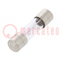 Fuse: fuse; time-lag; 100mA; 250VAC; cylindrical,glass; 5x20mm