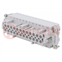 Connector: HDC; contact insert; female; EPIC H-BE; PIN: 24; 24+PE