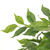 Kunstpflanze / Kunstbaum FICUS I 120 cm grün hjh OFFICE