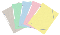 Oxford 400116400 fichier Carton Bleu, Vert, Jaune, Rose, Gris A4