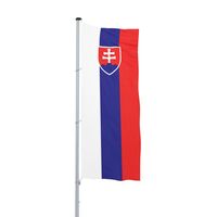 Flag for hoisting/national flag