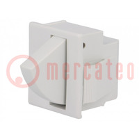 Switch: door; Pos: 2; SPDT; 5A/250VAC; Leads: connectors 4,8x0,5mm
