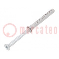 Plastic anchor; with screw; 8x60; zinc-plated steel; SXRL-T; 8mm