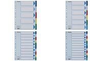 Esselte Kunststoff-Register, blanko, A4, PP, 12-teilig (80152620)