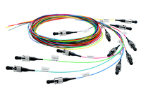 Telegärtner 100012052 Glasvezel kabel 2 m 12x SC OS2 Meerkleurig