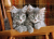 Clementoni Kittens Puzzle 500 pz Fauna