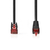 Nedis CCGP85227BK20 câble de réseau Noir 2 m Cat6 SF/UTP (S-FTP)