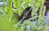 Gardena 13208-20 soporte de manguera Negro