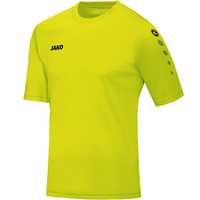 Trikot Team KA, lime, M