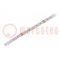 LED strips; koud wit; 5630; 24V; LED/m: 60; 12mm; witte PCB; IP20