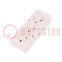 Connector: AC supply; female; splitter; 2P; 250VAC; 16A; Type: round